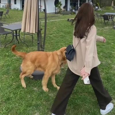 猛鬼抓交替